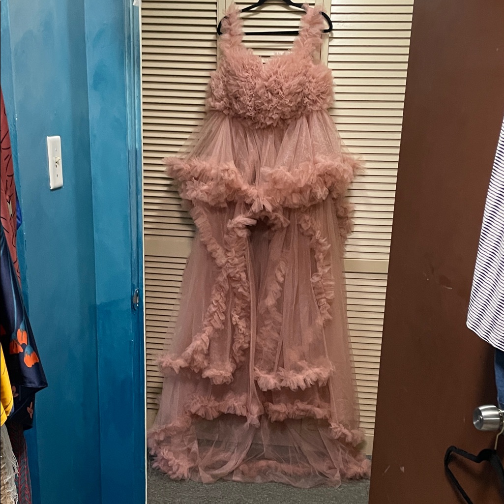 Beautiful WalkThrough Gown